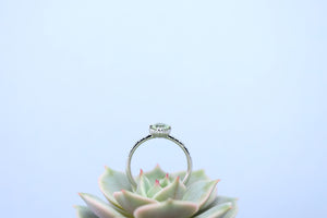 Light Blue-Green Montana Sapphire Alexis Ring - S. Kind & Co