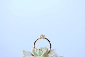 Lustrous Antique Diamond Rosalie Ring - S. Kind & Co