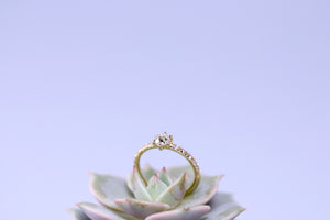 Lustrous Antique Diamond Rosalie Ring - S. Kind & Co