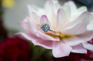 Included White Diamond Engagement Ring - S. Kind & Co