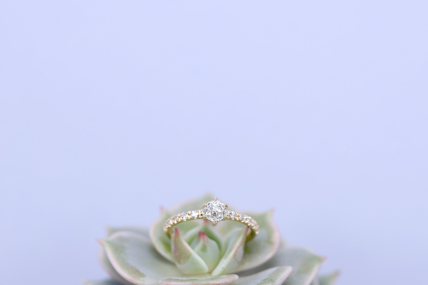 Lustrous Antique Diamond Rosalie Ring - S. Kind & Co