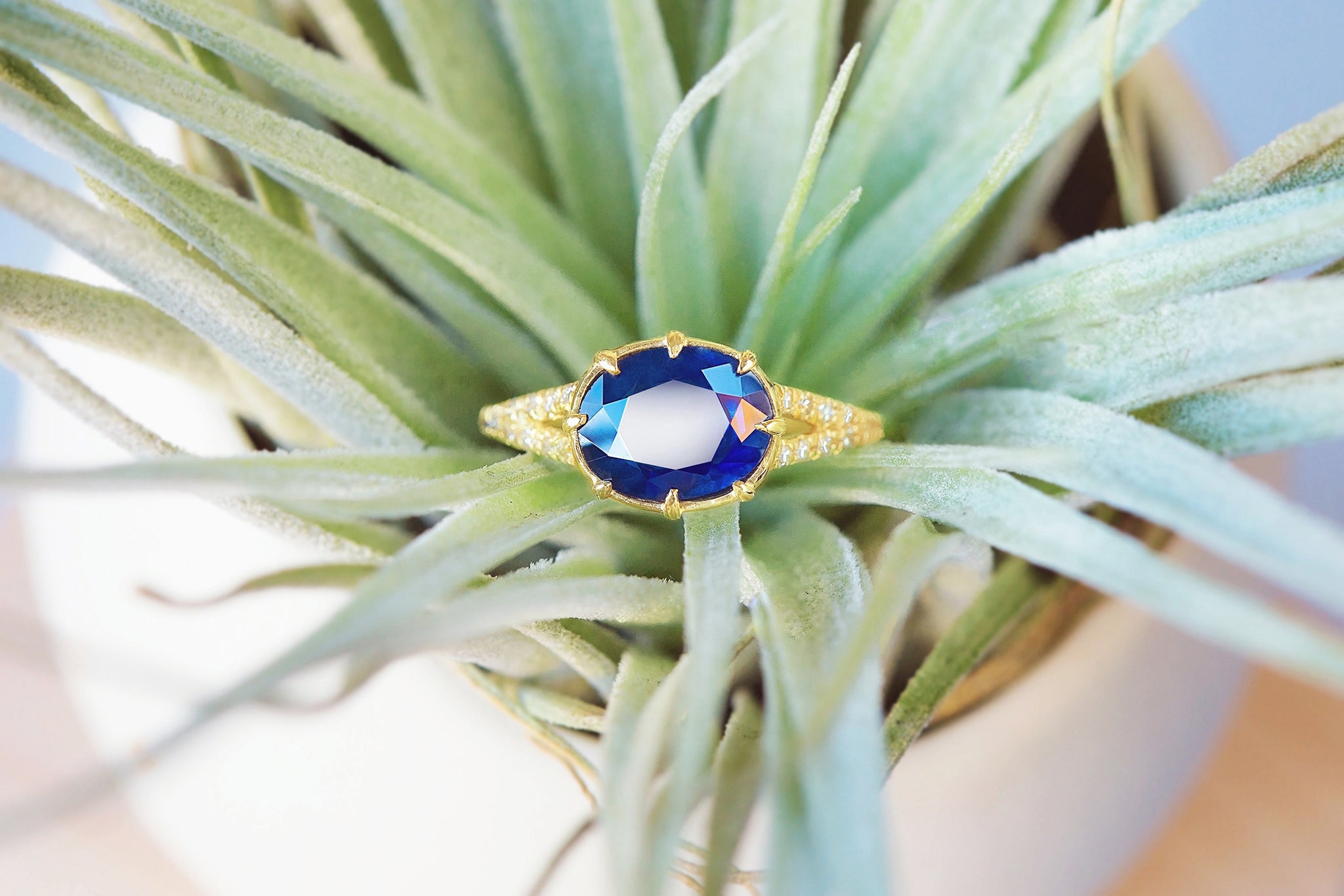 Blue Beauty Low-Profile Sapphire Ring - S. Kind & Co