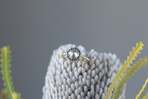 Rose Cut Diamond & Sapphire Frame Ring - S. Kind & Co