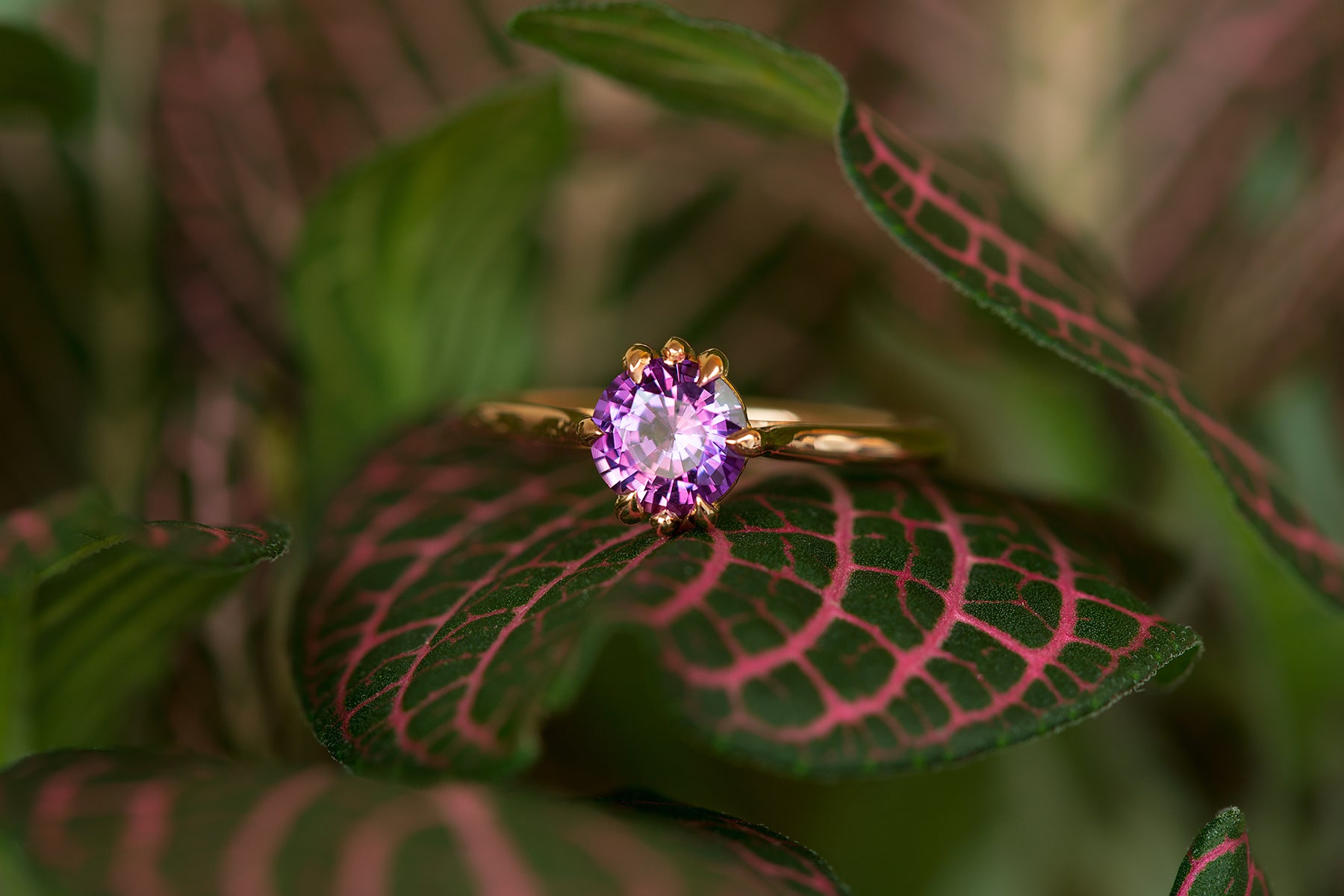 Master Cut Pink & Purple Sapphire Zoe Ring - S. Kind & Co