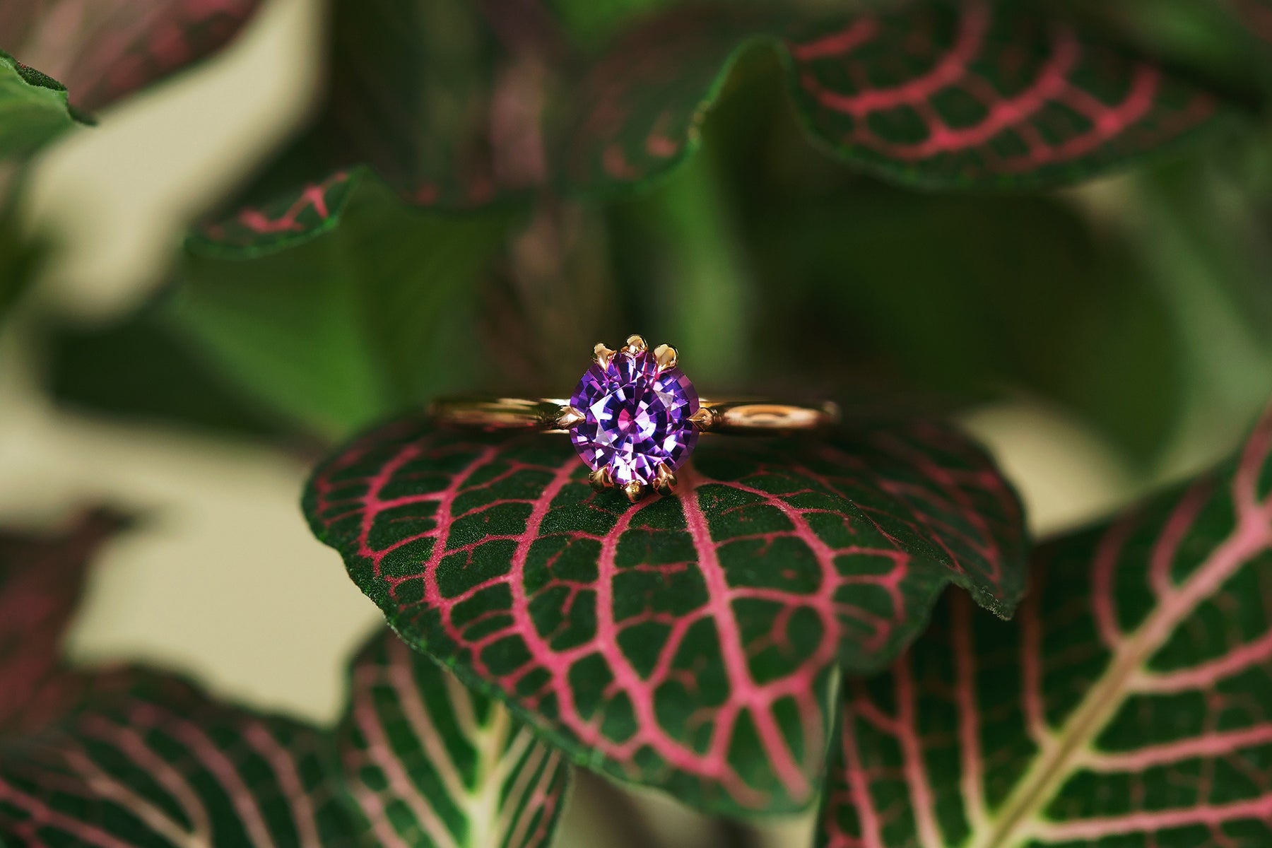 Master Cut Pink & Purple Sapphire Zoe Ring - S. Kind & Co