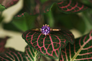 Master Cut Pink & Purple Sapphire Zoe Ring - S. Kind & Co