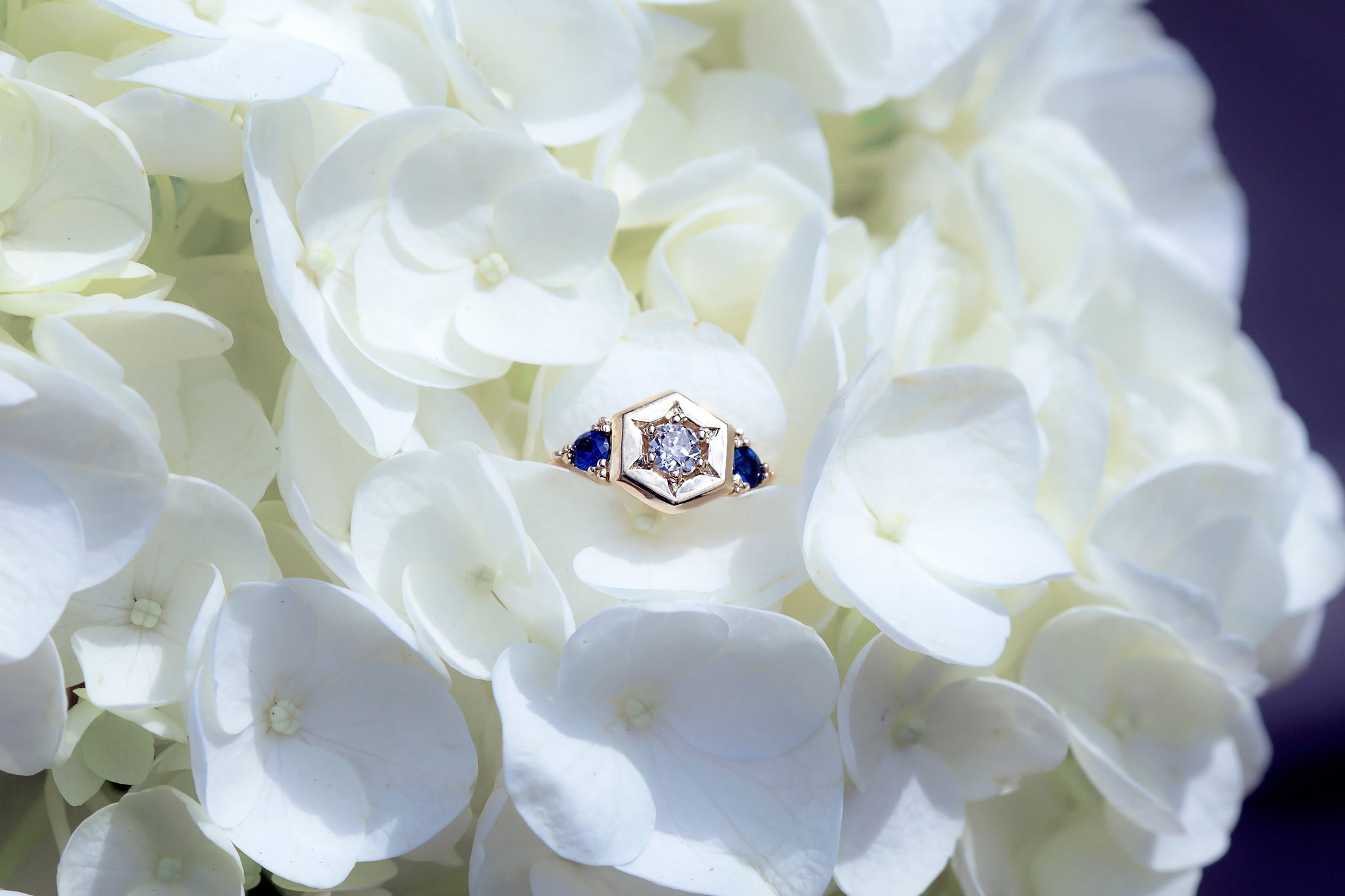Elenore Vintage Diamond and Sapphire Hexagon Ring - S. Kind & Co